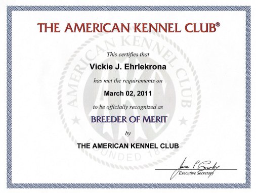 AKC Breeder Of Merit Program – American Kennel Club
